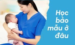 Học chứng chỉ bảo mẫu ở đâu