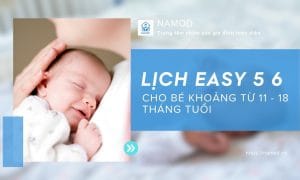 Lịch EASY 5-6 chuẩn cho trẻ sơ sinh và cách áp dụng
