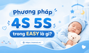 Phương pháp 4S 5S trong EASY là gì