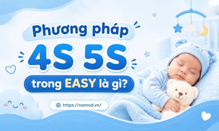 Phương pháp 4S 5S trong EASY là gì