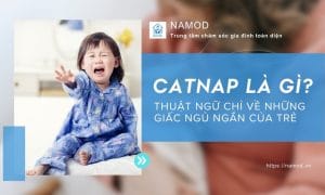 Catnap là gì