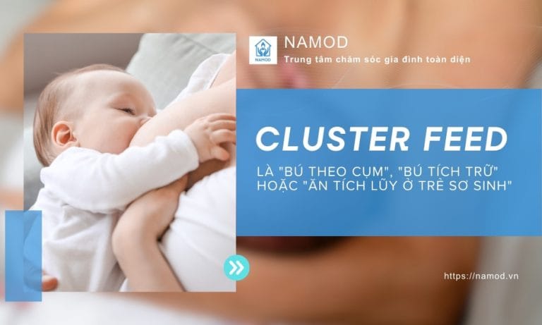 Cluster Feed Là Gì? 7 Dấu Hiệu & Hướng Dẫn Xử Lý Cho Mẹ An Tâm