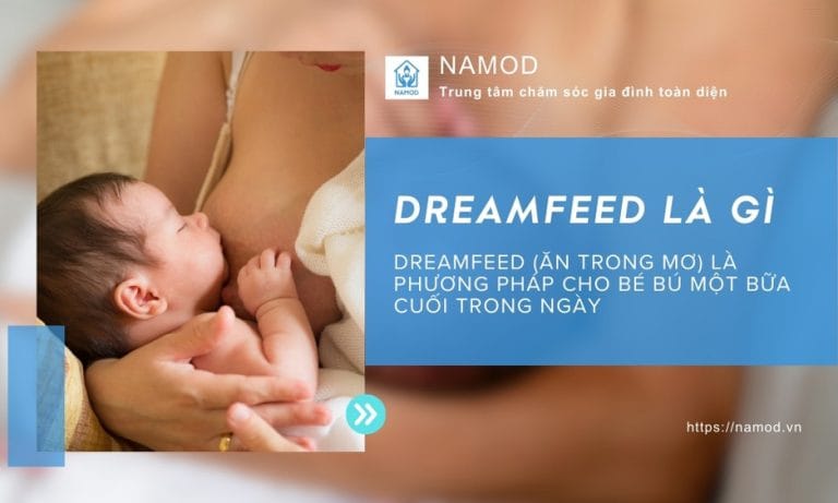 dreamfeed là gì