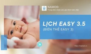 Lịch EASY 3.5 (EASY 3 5) biến thể