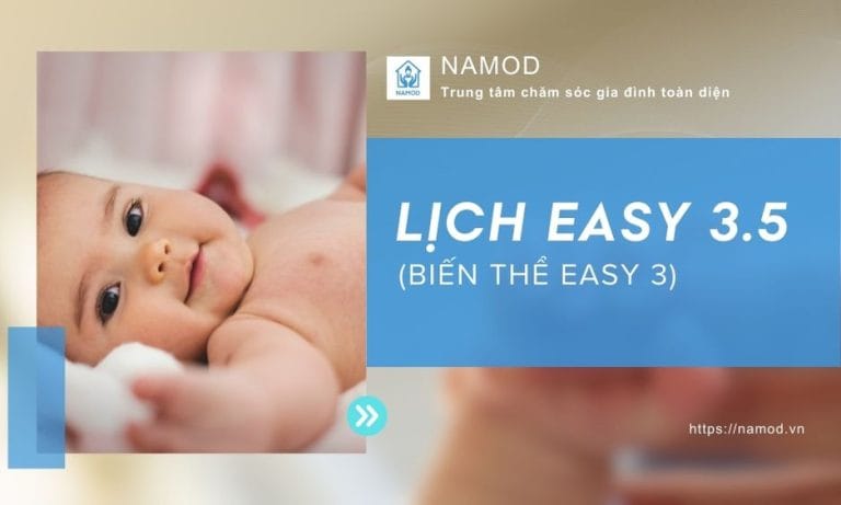 Lịch EASY 3.5 (EASY 3 5) biến thể
