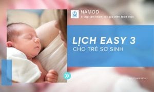 Lịch EASY 3 cho trẻ sơ sinh: Cẩm Nang Vàng Cho Người Mới
