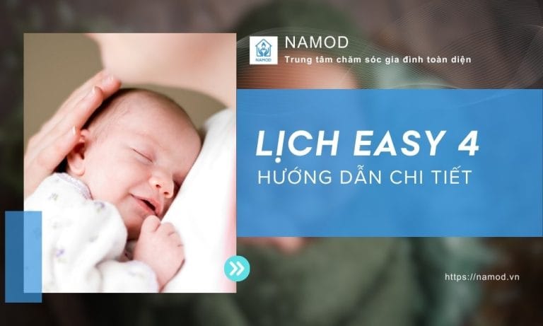 Lịch EASY 4 và Hướng dẫn xây dựng lịch cùng cách áp dụng lịch sinh hoạt EASY 4