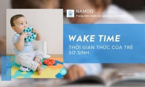 WT trong EASY là gì