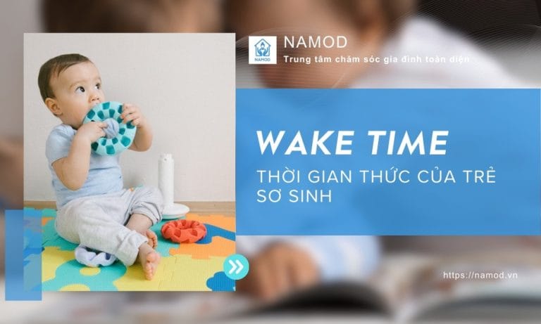 WT trong EASY là gì