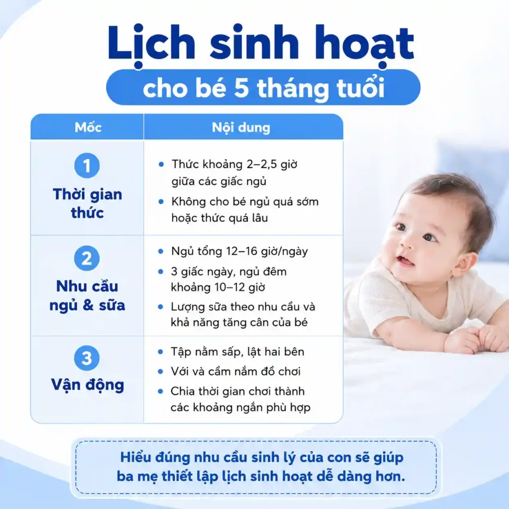 Lịch sinh hoạt phù hợp với bé 5 tháng tuổi