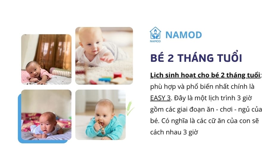 Lịch sinh hoạt & Cách luyện EASY cho bé 2 tháng tuổi