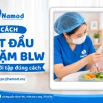 Cách bắt đầu ăn dặm BLW cho em bé