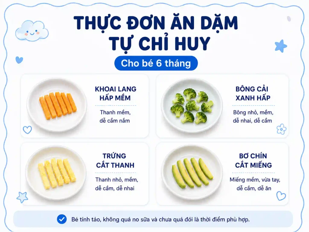 Thực đơn ăn dặm tự chỉ huy an toàn, hiệu quả